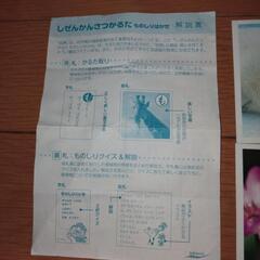 しぜんかんさつかるたの画像