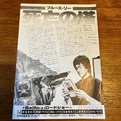 映画チラシ『死亡の塔
』の画像