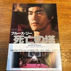 映画チラシ『死亡の塔
』