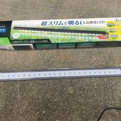 gex ライト