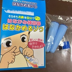 はなかめるゾウ