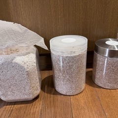 菌糸瓶　¥450〜