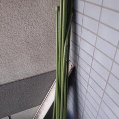 園芸支柱、お譲り致します