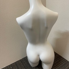 上半身マネキンの画像