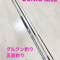 Daiwa インターライン HX 潮流　30-350 グルクン釣...