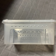 ＫＬＫＣＭＳ 爬虫類飼育ケース　爬虫類　プラケ　ケージの画像