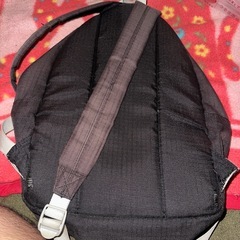 カバ　黒の画像