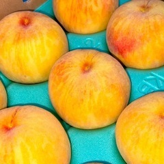 新潟県加茂市産「黄桃」B品　12個入り約5kgその2