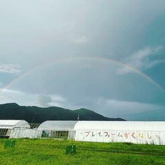 幸運と開運を引き寄せます☆数秘&マインドマップ鑑定！の画像