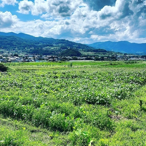 幸運と開運を引き寄せます☆数秘&マインドマップ鑑定！