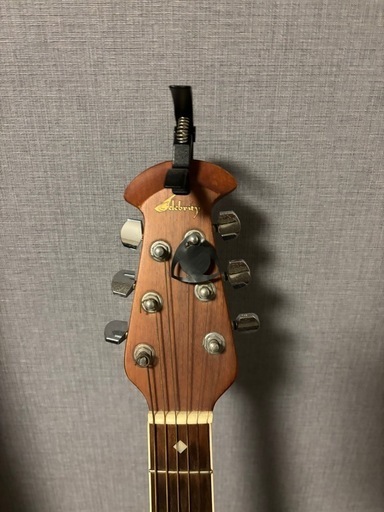 セレブリティ オベーション　エレアコギター