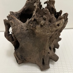 流木