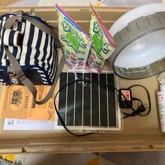 ハリネズミ飼育セット