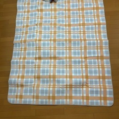 【未使用・新品】レジャーシートの画像
