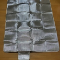 【未使用・新品】レジャーシートの画像