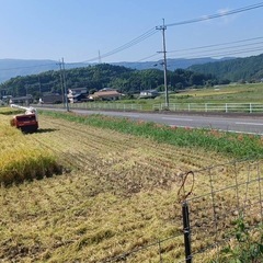 大分産頑固おやじの美味しいお米5キロ
の画像