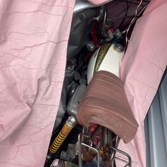 モンキーバイク長期間放置してます