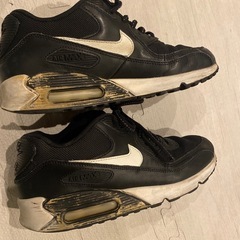 ナイキ エアマックス 90 フラッシュ 25cmの画像