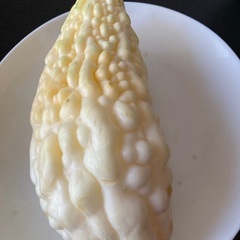 いつもありがとうございます！白ゴーヤおまけに加熱用ミニトマト差し...