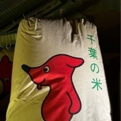 コシヒカリ玄米30キロ