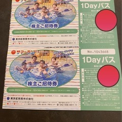 サマーランド　株主ご招待券　2枚