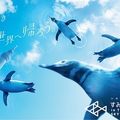 すみだ水族館  観察  散歩  写真 - 越谷市