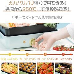 SOLEMOOD ホットプレートミニ 新品未使用品 WL-G107の画像