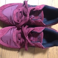 アシックス レディスウォーキング　24.5cm　の画像