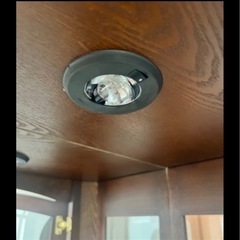 【交渉中】アンティーク キャビネット　コレクションボード　什器　飾り棚　ショーケースの画像