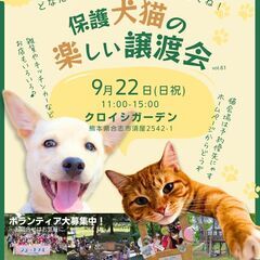 🐶🩷🐱どなたでも歓迎の楽しい保護犬猫譲渡会♪ ボランティアも大募...