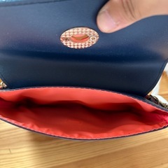 (決まりました)サザビー バッグの画像