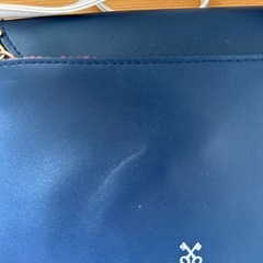 (決まりました)サザビー バッグの画像