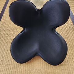 MTG スタイル矯正(期間限定お値下中)の画像