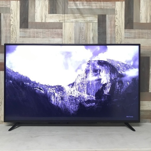 即日受渡❣️省エネ薄型50型TV裏番組録画28500円