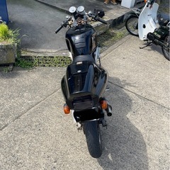 NS-1の画像