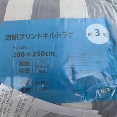 システムK 冷感ひんやりラグマット さらっと快適カーペット 130×185cm 清潔な抗菌・防臭タイプ 夏用ラグ キルト加工 簡単お掃除 洗濯可能 約1.5畳 3)グレーの画像