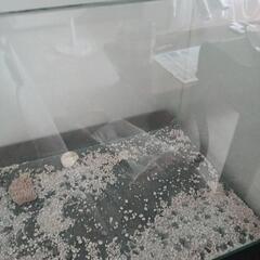 60cm水槽、ポンプの画像