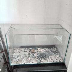 60cm水槽、ポンプの画像