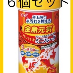 【６個セット】金魚元気 プロバイオミニフレーク40g