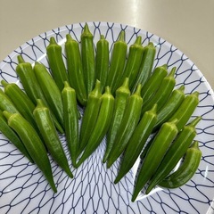 朝取りオクラの画像
