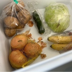 ベジタブルバック(冷蔵庫野菜収納袋)2枚セットの画像