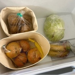 ベジタブルバック(冷蔵庫野菜収納袋)2枚セットの画像
