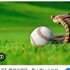 baseball⚾️😆✨（ちなみに純日本人です）😆