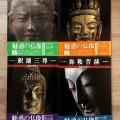 魅惑の仏像20巻セット毎日新聞社　レア希少　帯背表紙付きの画像