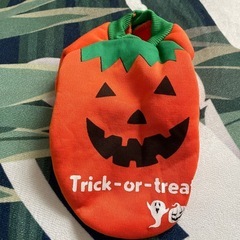 ペットハロウィンコスプレXSサイズの画像