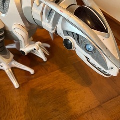 ロボ恐竜🦕（長さ約80㎝）決まりました！の画像