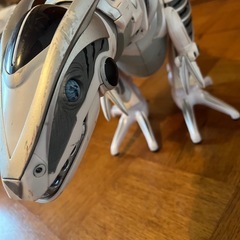 ロボ恐竜🦕（長さ約80㎝）決まりました！