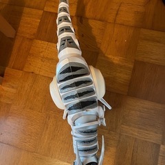 ロボ恐竜🦕（長さ約80㎝）決まりました！の画像