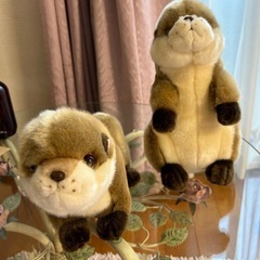 ぬいぐるみ　コツメカワウソ 八景島シーパラダイス　身長26と32センチ