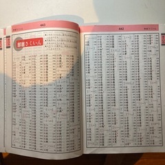 小学生の漢字読み書き辞典の画像